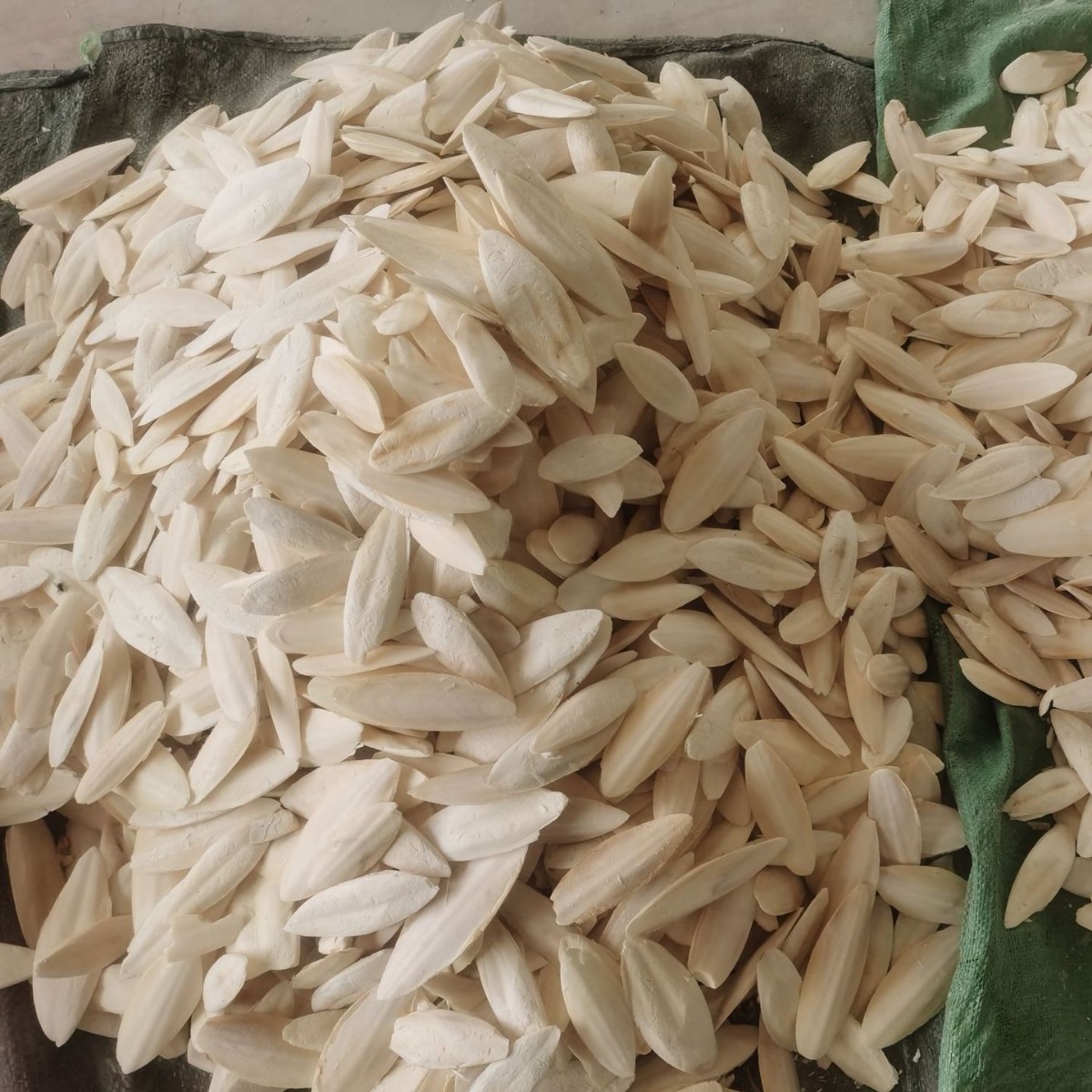 Parrot Cuttlefish Bone Raw Material Trimming Molars Tiger Skin Black Phoenix Peony Turtle Snack Chewing Toy Cuttlefish Bone