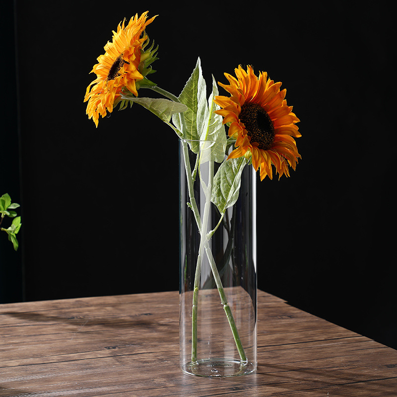 High Borosilicate Glass Vase Straight Cylindrical Hydroponic Plant Bottle Decorative Ornaments Potted Vase Vase Wholesale in Stock