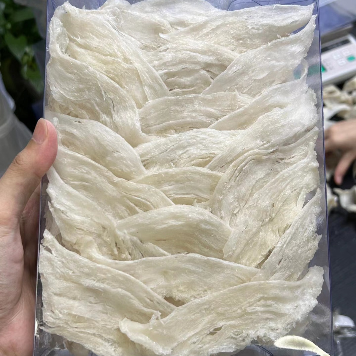 Dry-Picked Large Swallow Strips Indonesian Rainy Season Hand-Picked Natural Bird's Nest Pregnant Women Gifts Swallow Strips Crushed Source Wholesale