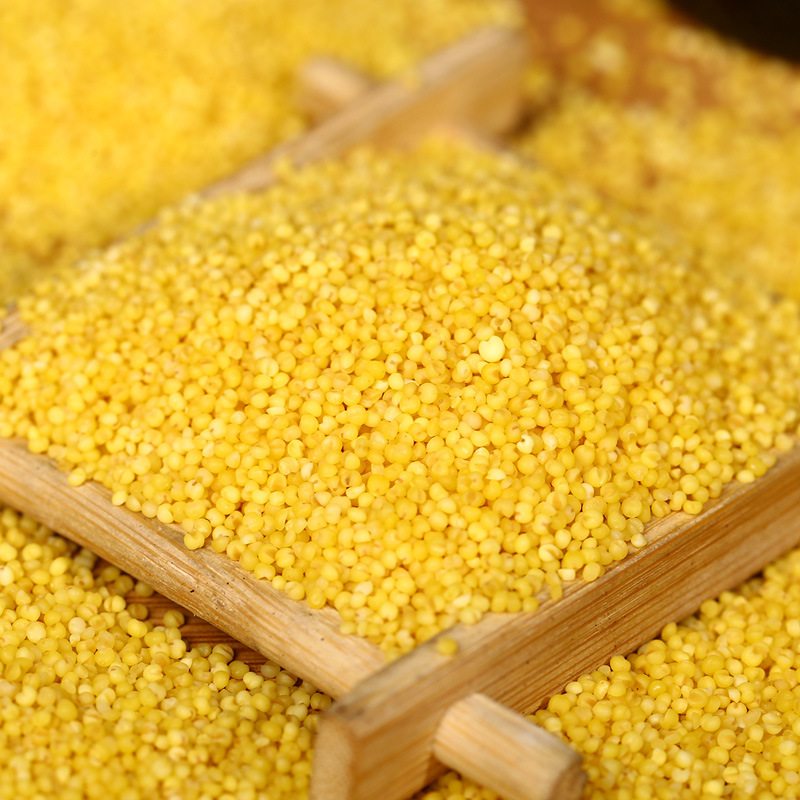 [Wholesale Yellow Millet] Seasonal Boutique New Millet Farm Moon Millet Congee Bait Feed Millet 25kg