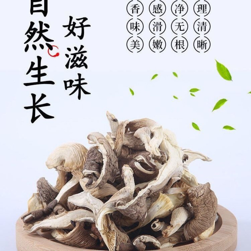 A Whole Box of Dried Oyster Mushrooms, Farm Specialty, Real Oyster Mushrooms, Bulk Soup Ingredients, Dried Vegetables, Mushrooms, Dried Vegetables, Seasonal