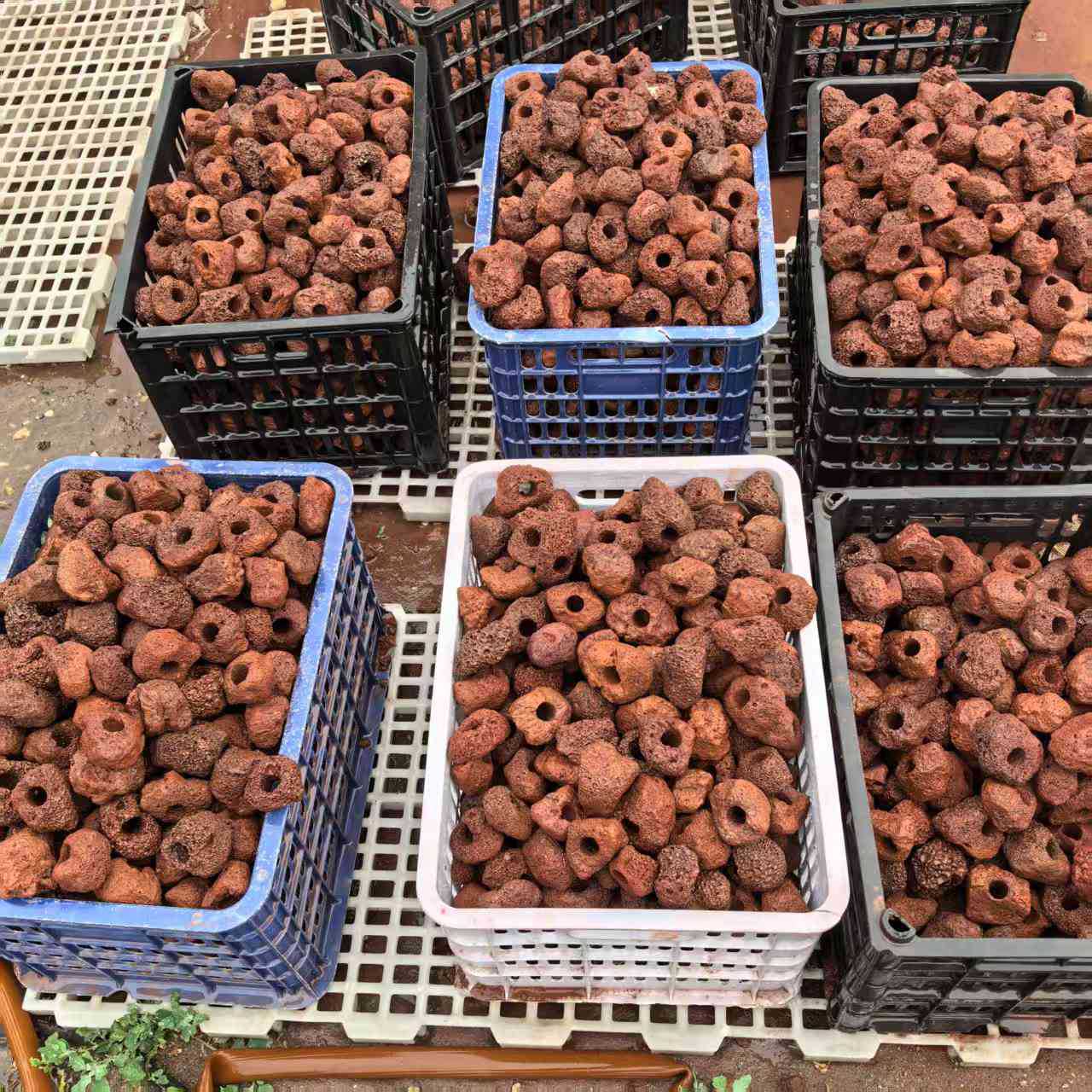 Volcanic Stone Planting Rings, Direct from the Manufacturer, for Fixing Aquatic Plants, Landscaping Stones, and Decorative Perforated Fish Tank Decorations