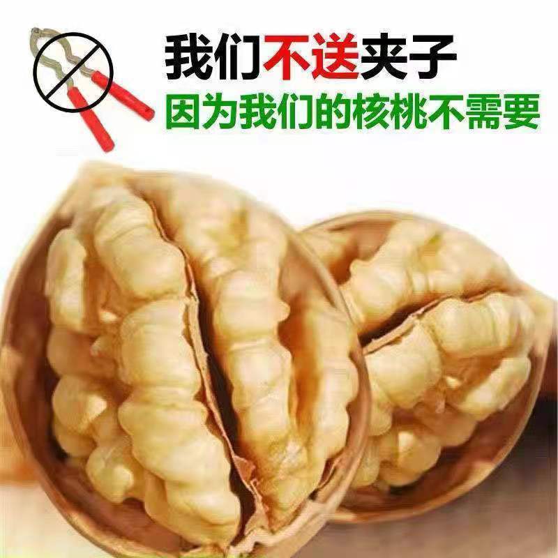 500g Xinjiang Paper-Skinned Walnuts Shipped by Hand, Aksu Raw Walnuts Can Be Peeled by Hand and Opened by Squeezing, New Paper-Skinned Raw Walnuts
