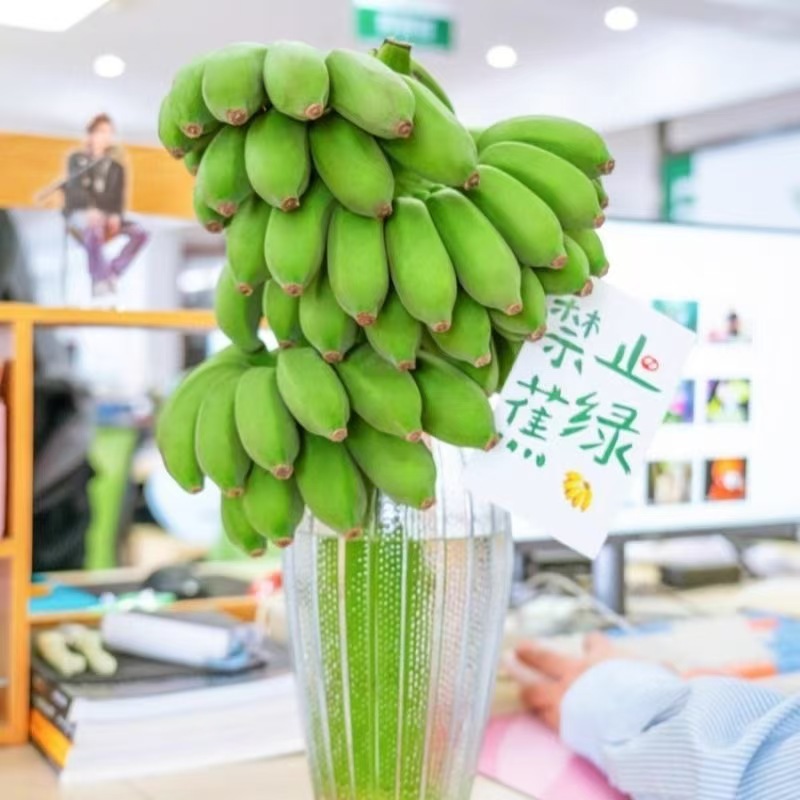 Whole Bunch of Green Office Hydroponic Bananas, Anxiety-Relieving, Flower Arrangement, Green Value, Plantain, Millet Banana, Powdery, Glutinous, Sweet