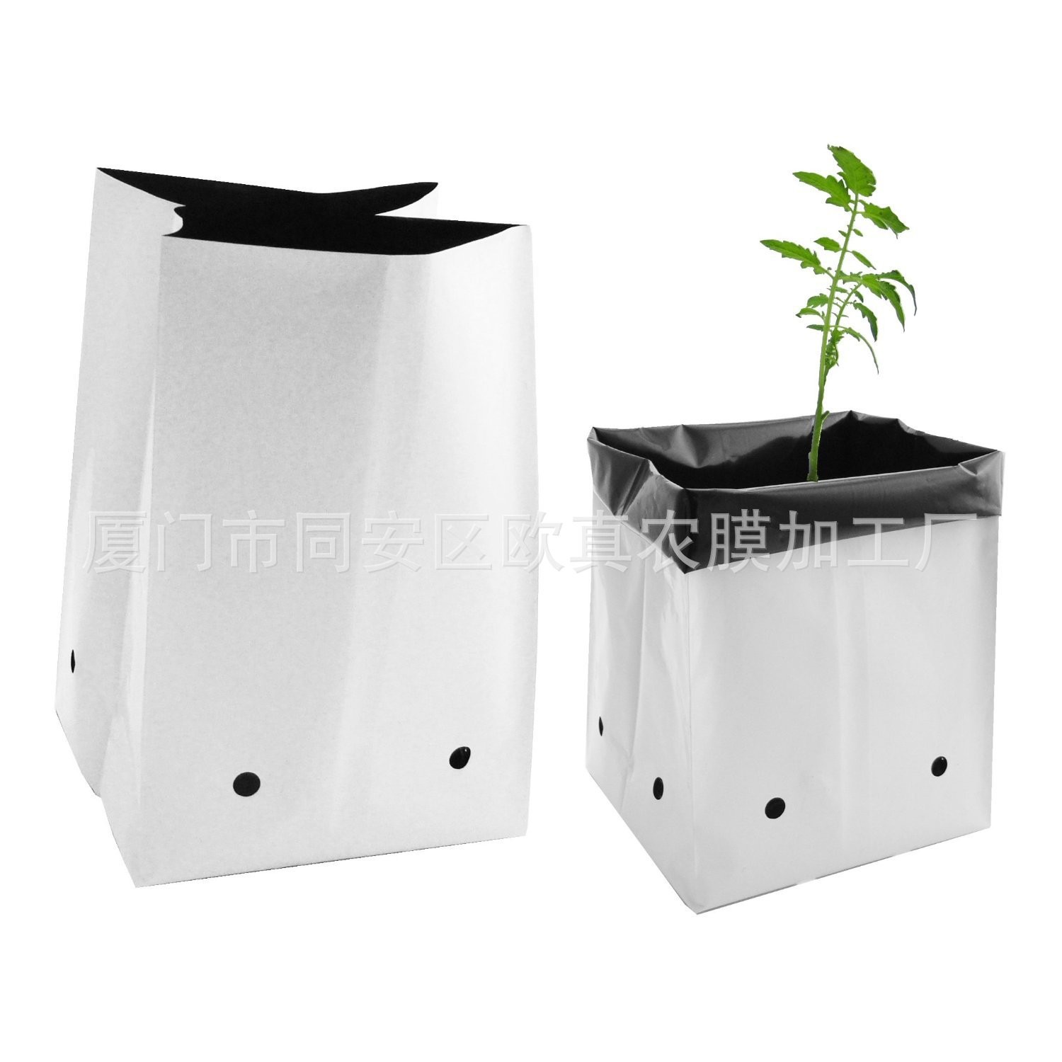 Black and White Planting Bags Wholesale Tomato Planting Bags Substrate Cultivation Bags Soilless Cultivation Factory Direct Sales