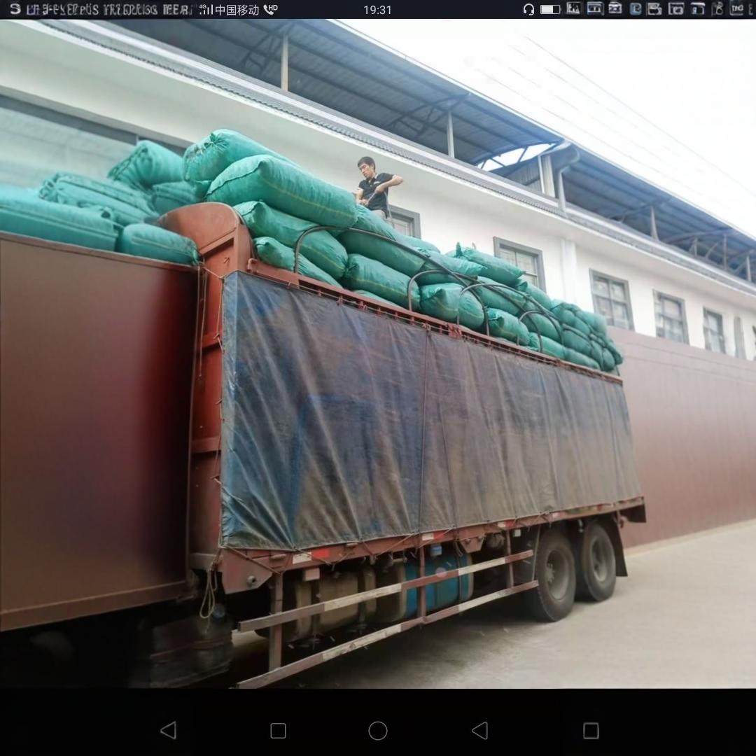 Kapok Dried Flowers Panzhihua New Arrival