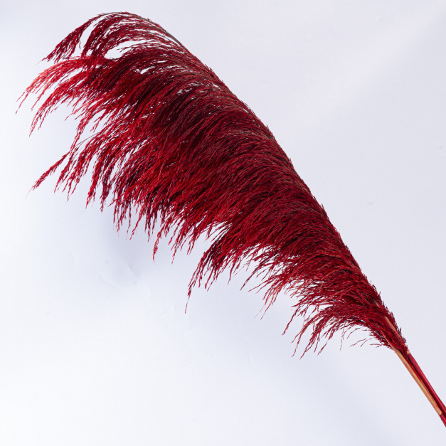 Yunnan factory straight hair reed iron reed big reed eternal flower wholesale wedding landscaping decoration ornaments essential