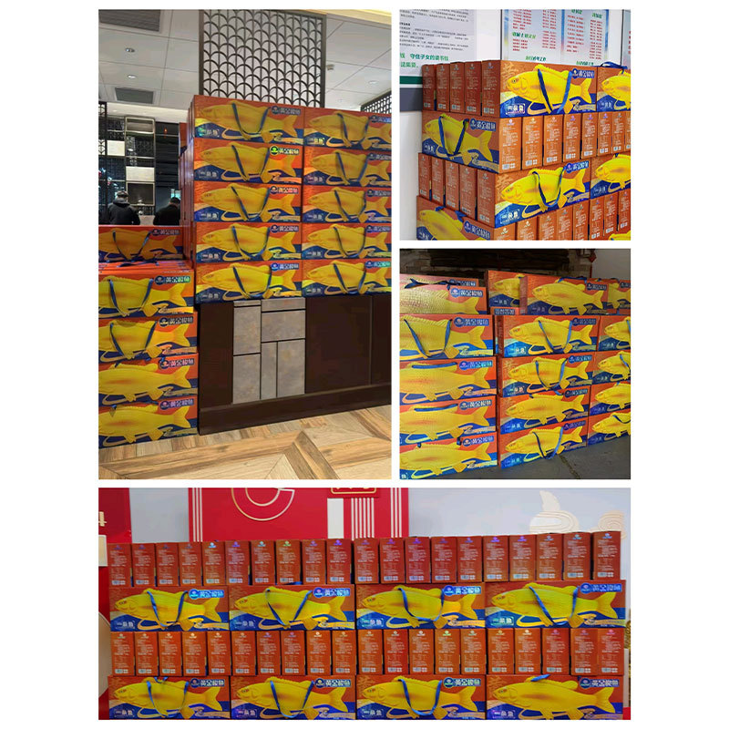 Good Start in Finance, Banking, and Insurance: a Gift of a Golden Barracuda, Symbolizing Good Fortune and Prosperity, in a Gift Box