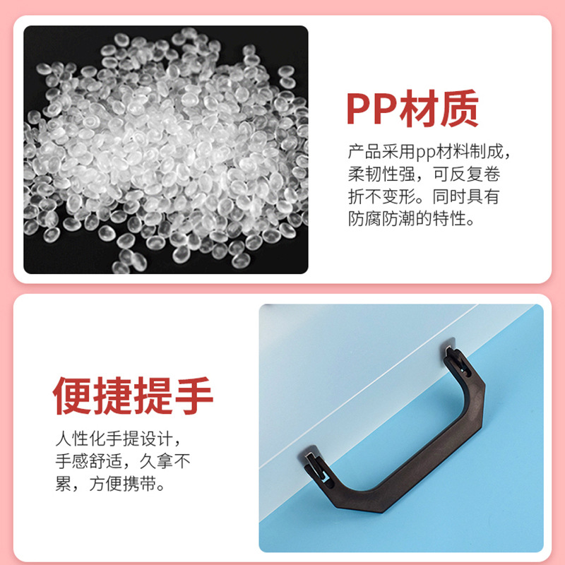 Manufacturer Supplies Custom Plastic File Bags A4 File Plastic Accordion Bags Wholesale Plastic Files