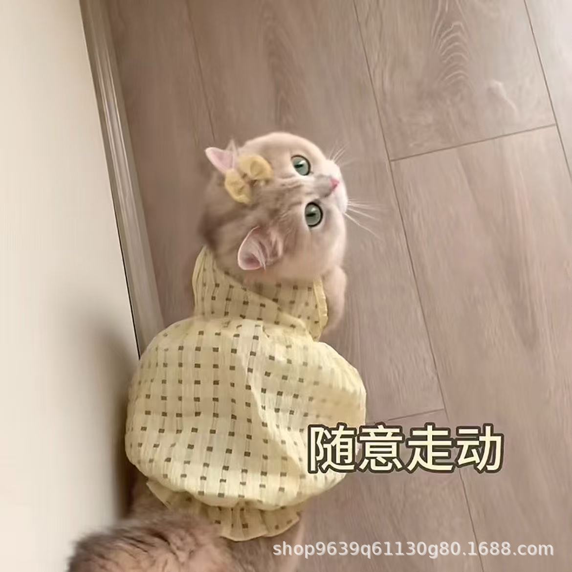 Cat Summer Clothes, Small Skirt, Anti-Shedding, Cute Ins Gold Gradient Ragdoll Cat British Short Summer Suspender Skirt