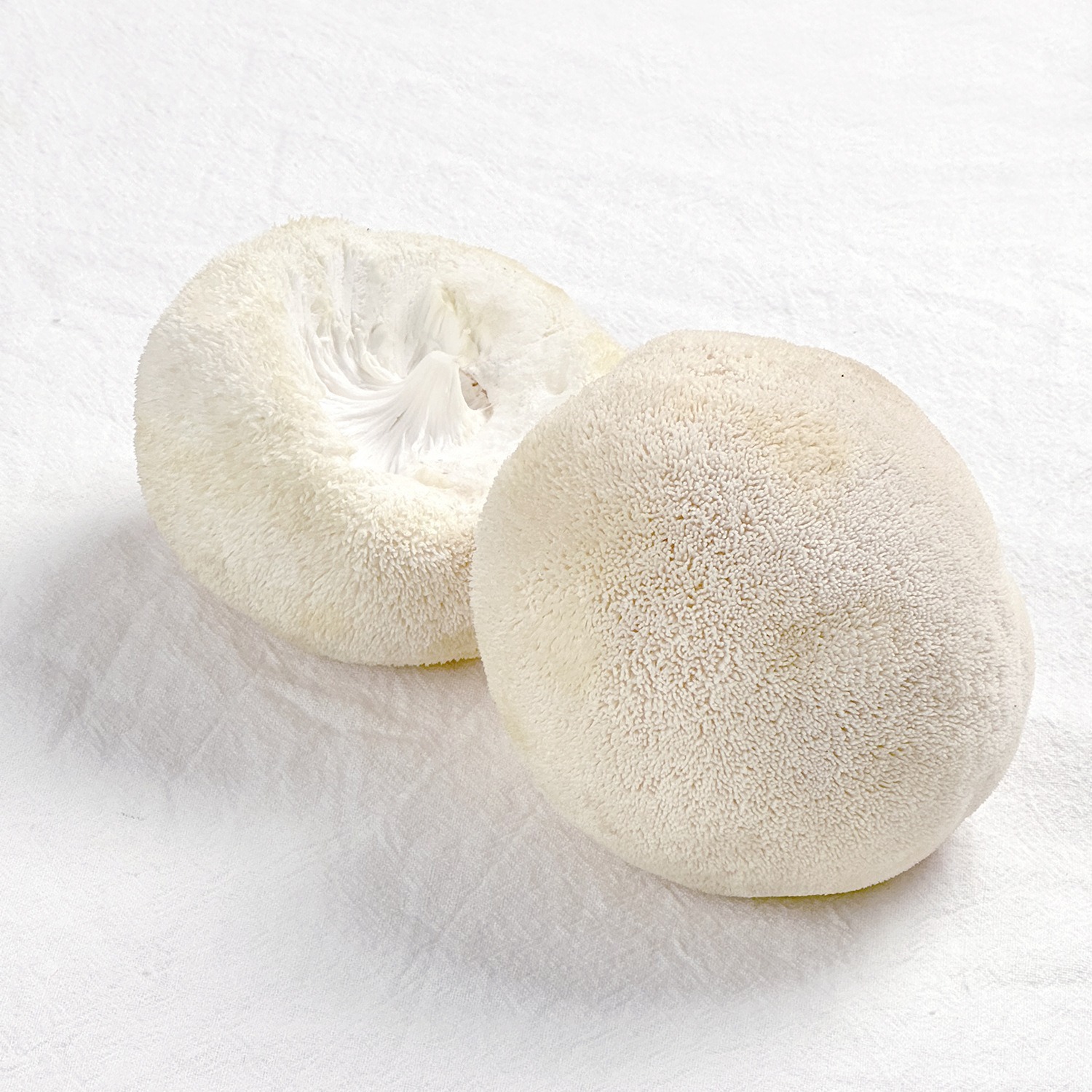 [25 Years First Crop] Fresh Hericium Erinaceus, Freshly Picked and Shipped Directly from Gutian Alpine Fresh Mushrooms to Sf Express and Jd.Com