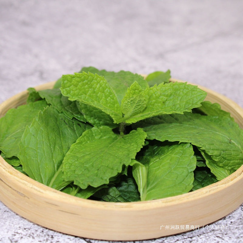 Yunnan Specialty Dehong Fresh Mint Leaves Freshly Picked Seasonal Yunnan Mint Edible Tea Cocktail Milk Tea Mint Leaves