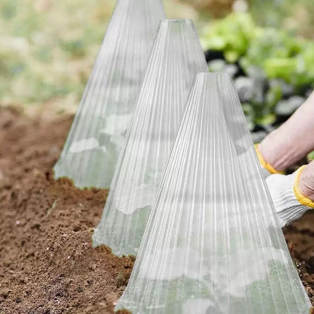 Seedling Protection Cover Vegetable Planting Agriculture Blister Packaging Plant Seedling Wind-proof Cold-proof Protection Cover Insulation Cover