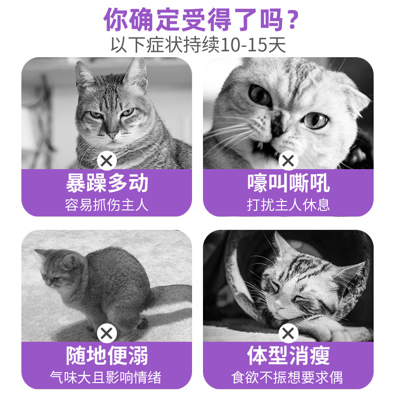 Factory Direct Supply of Cat Pet Calming Tablets, 60 Tablets, Specifically for Male and Female Cats, Universal Vitamin Nutritional Supplement