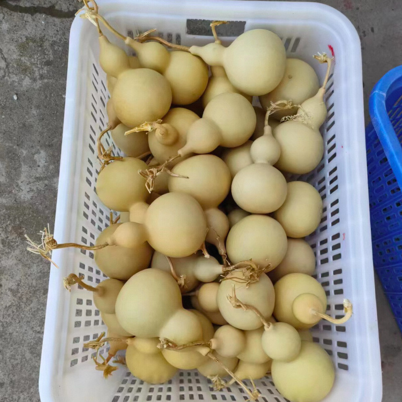 Scenic spot hot sale with dragon head plain gourd Feng Shui Home small ornaments gourd wholesale stall hot sale crafts