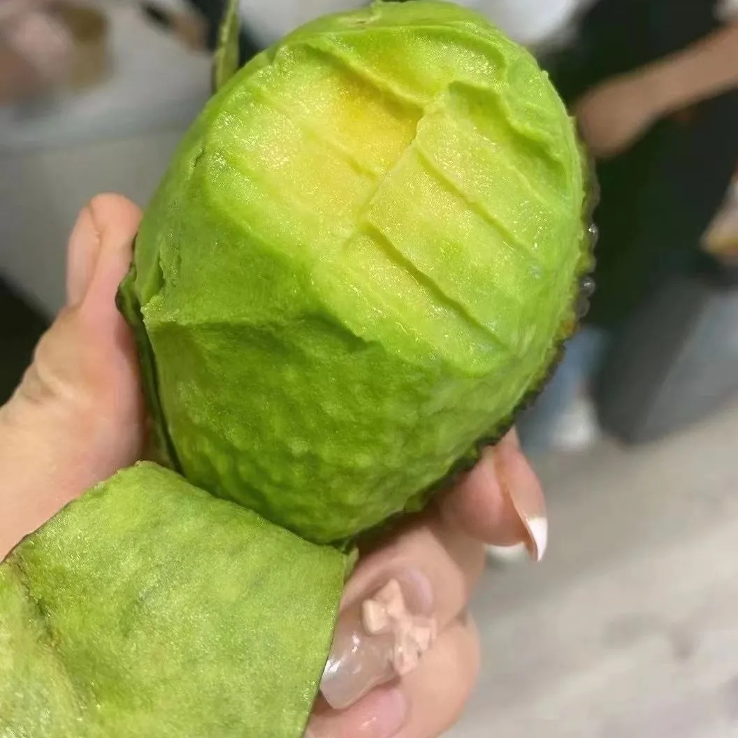 Yunnan Avocado Fresh Fruit Seasonal Whole Box Free Shipping Avocado Yunnan Avocado One-Piece Dropshipping