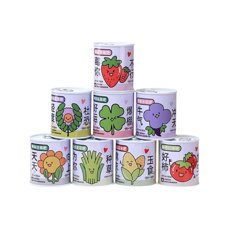 Children's Gift Can Plant Blind Box Desktop Small Potted Primary School Students Florals and Green Plants Easy to Feed Seeds Potted Plants