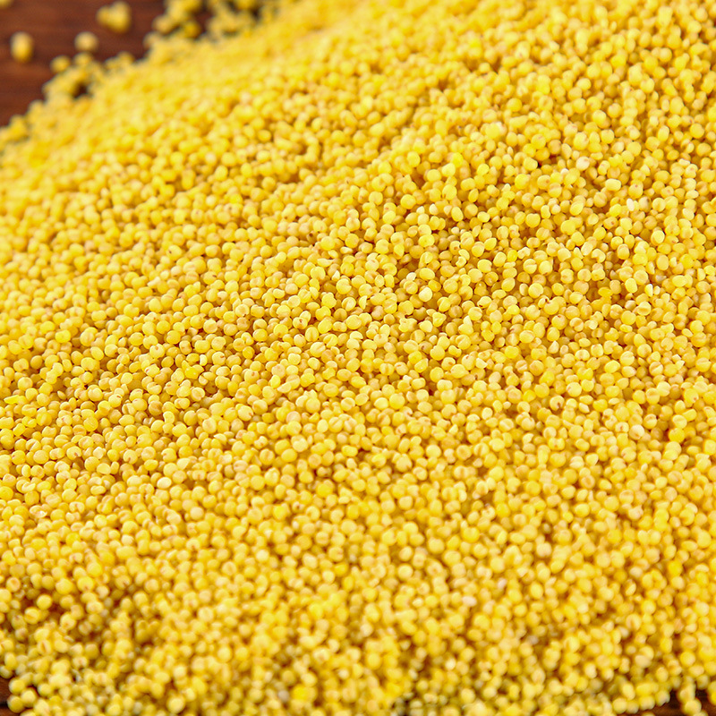 Northeast Millet Grains 500g Vacuum Packed Source Factory Grains Bulk Wholesale Yellow Millet 0.5kg New Rice Porridge