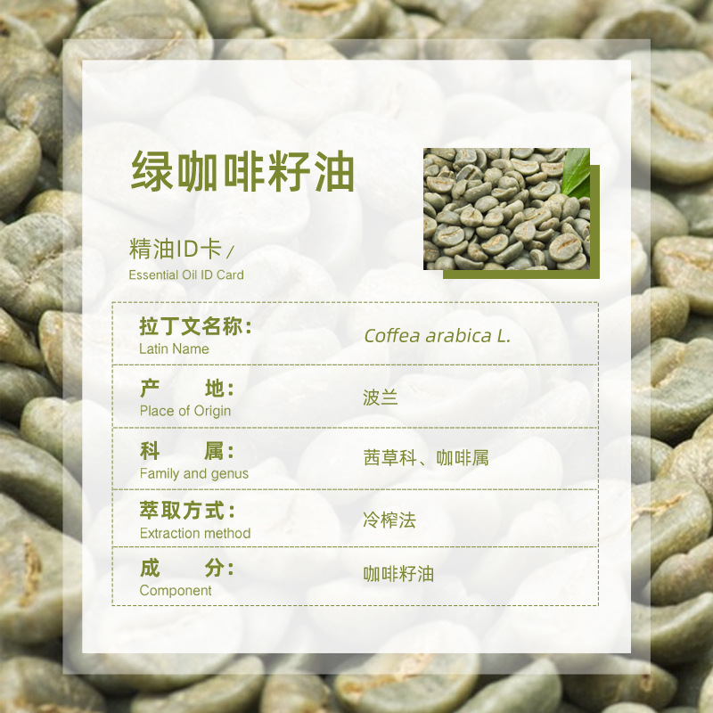 Directly Supplied from the Place of Origin, Polish Green Coffee Seed Oil, Cold-Pressed Pure Aromatherapy Skin Care Raw Materials, Wholesale Base Oil, Green Coffee Seed Oil