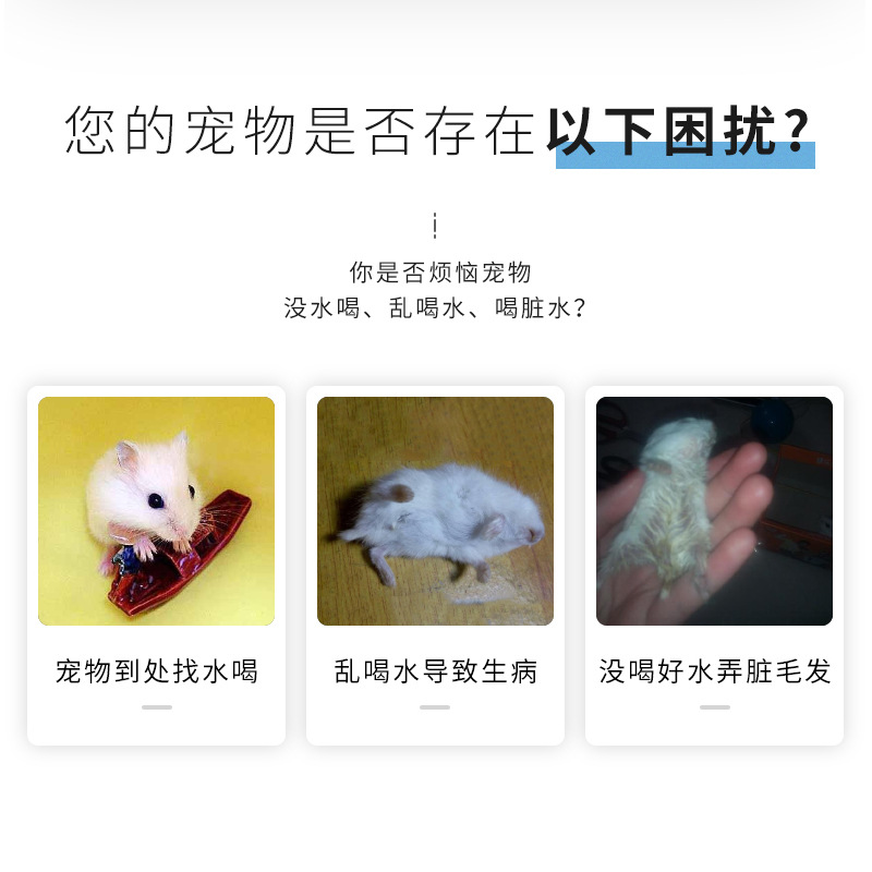 Pet Supplies Rabbit Ball Drinking Water Kettle Hamster Large, Medium and Small Automatic Water Feeder Hanging Drinking Fountain Wholesale