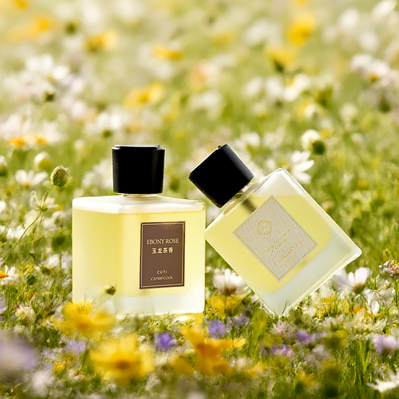 500ml Large-Capacity Spray Home Aromatherapy Machine Bedroom Large Bottle Fragrance Long-Lasting Fresh Hotel Fragrance Diffuser Ornaments