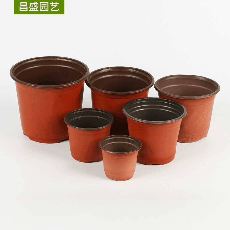 Two-color Pot Two-color Fleshy Flower Pot Green Plant Gardening Supplies Soft Suction Plastic pp Simple Seedling Pot Plastic Two-color
