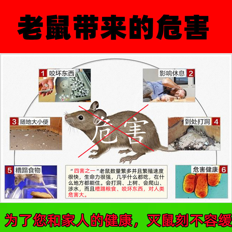 Wholesale Rat Poison 100g Rodenticide Special Rat Poison for Home Use with Super Strength and High Effectiveness to Kill Rats, Rodent Control Liquid Bait