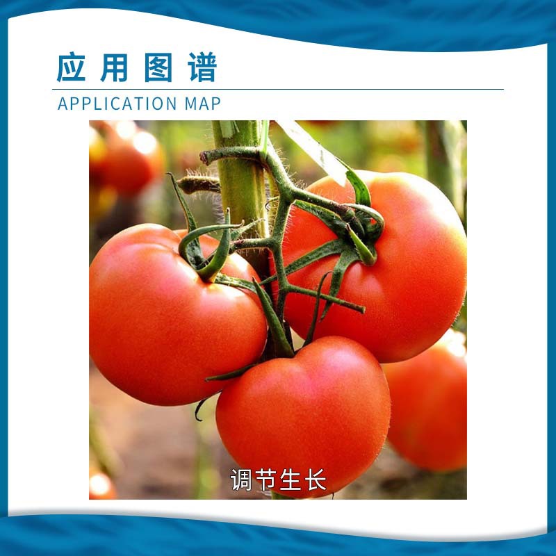 Aidosho 1.8% sodium complex nitrophenolate to promote flower coloring and increase yield to promote rooting and relieve pesticide damage growth regulator