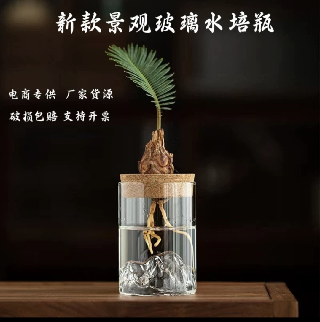 Hydroponic Vase Creative Micro Landscape Bonsai Flower Bottle Decorative Ornaments Living Room Flower Arrangement Transparent Glass Small Vase