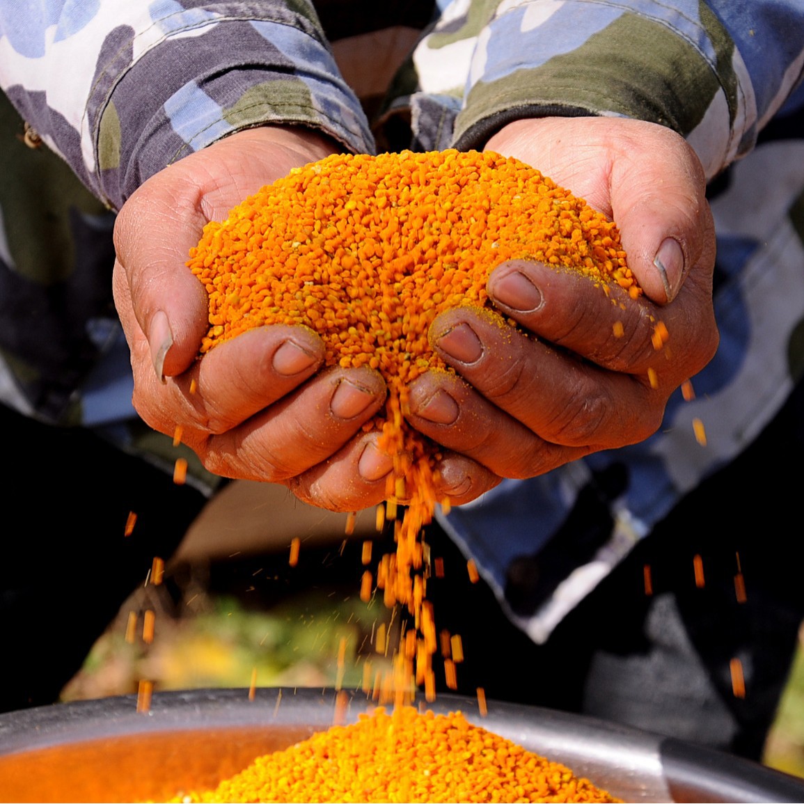 Edible Grade Bee Pollen Source: Tea Pollen, Chrysanthemum Pollen, Bee Feeding, Pet Bird Pollen, Food Grade Bottled