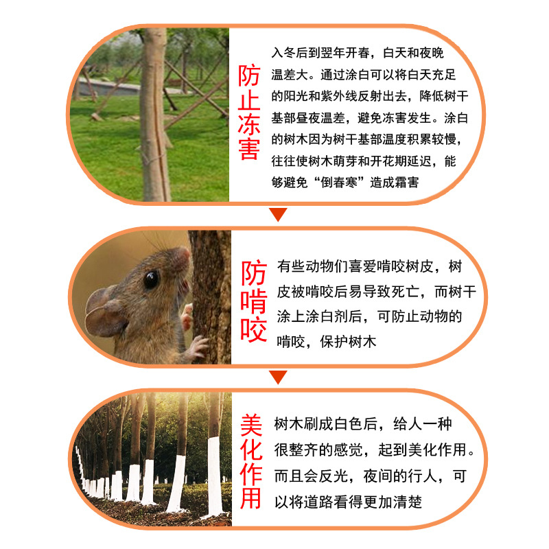 Guoguang Shiqi Tree Trunk Whitening Agent, Whitening Powder, Relic Dry Whitening Paste, Anti-Freeze, Anti-Disease and Insect-Proof, Direct Application Without Dilution