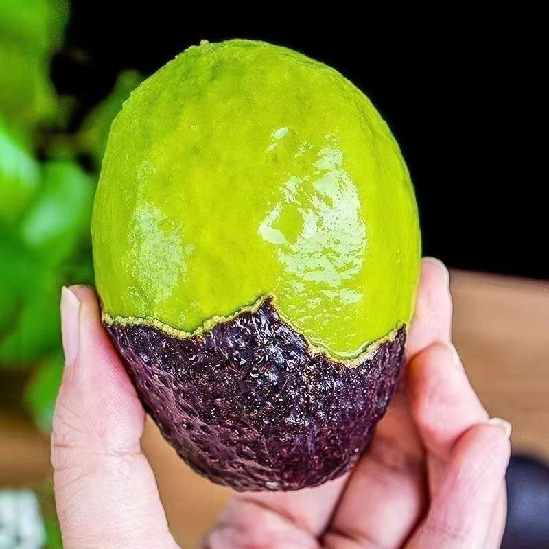 Haas Avocado, Seasonal Yunnan Domestic Large Fruit Avocado, Fresh Fruit for Baby Food, Seasonal Whole Box Direct Wholesale with Free Shipping