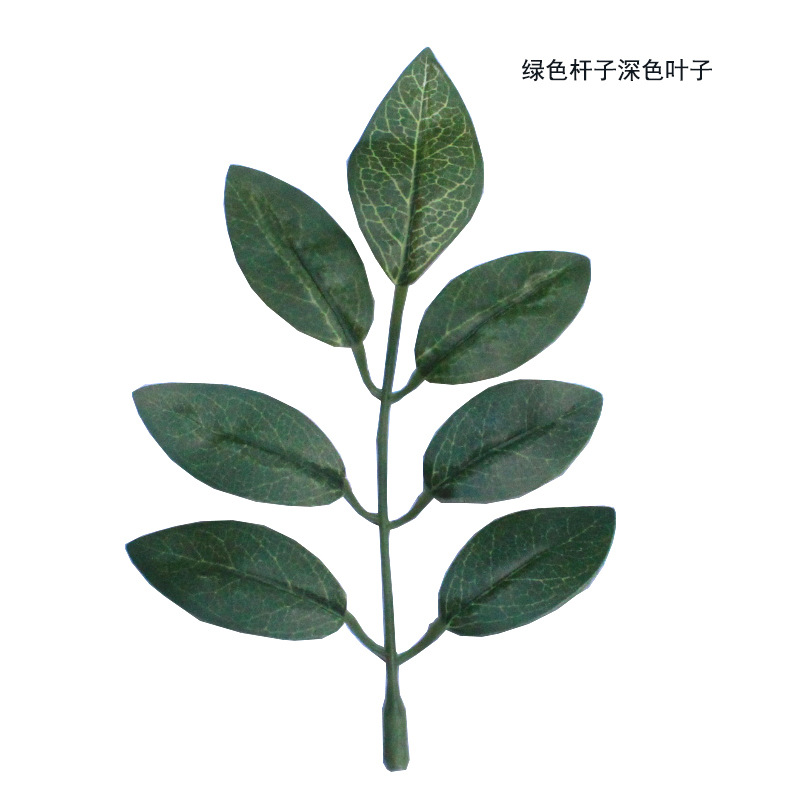 New artificial plant leaves bean flower leaves locust tree leaves Elm locust tree shooting Engineering decoration wholesale decoration