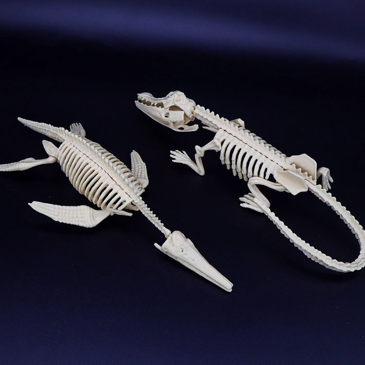 Archaeological Excavation Toys Simulation Skeleton Dinosaur Static Model Ornaments Children's Handmade DIY Educational Toys Treasure