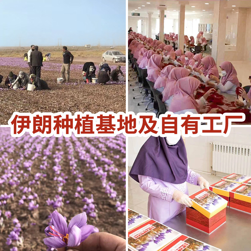 Customized Iranian Saffron, Custom Bottled Saffron Gift Box, Saffron Supports Dropshipping, Multiple Specifications, Saffron Origin