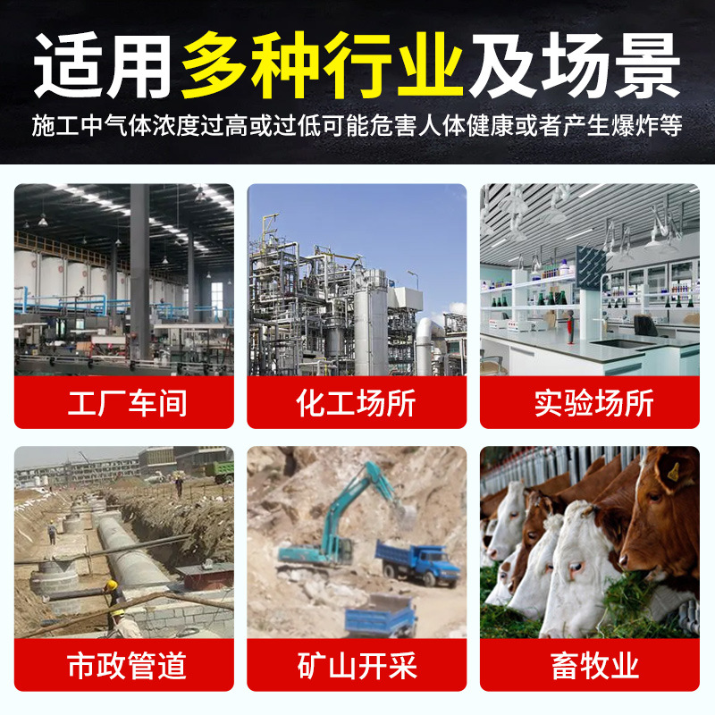 Four-in-one gas detector portable combustible oxygen hydrogen sulfide carbon monoxide toxic and harmful gas alarm