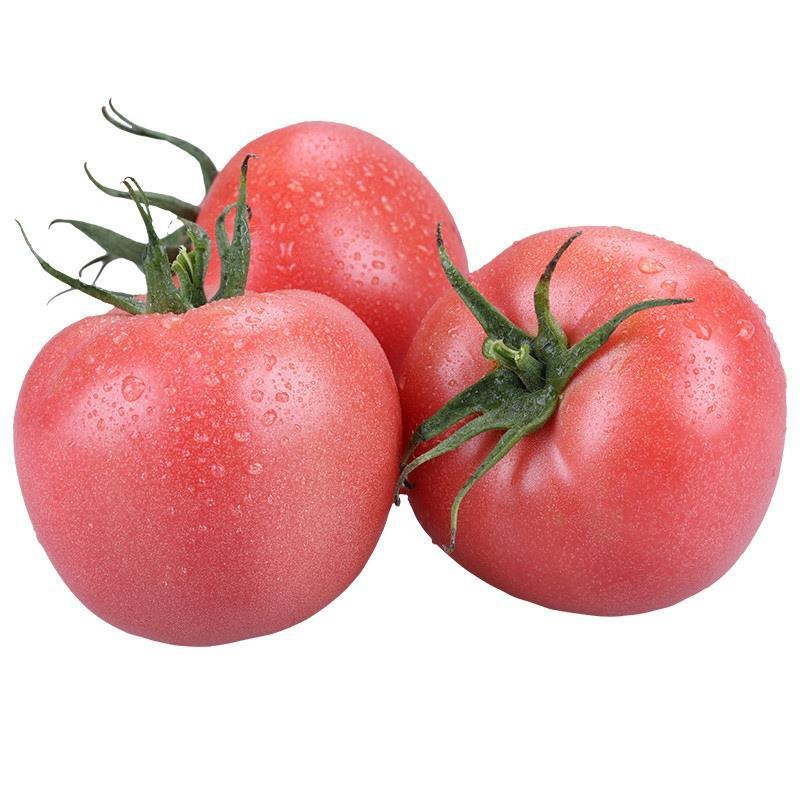 Tomato Seeds, Four-Season Potted Vegetable Seeds, Indoor Farm Provence Tomato Seeds, Rapeseed Seeds