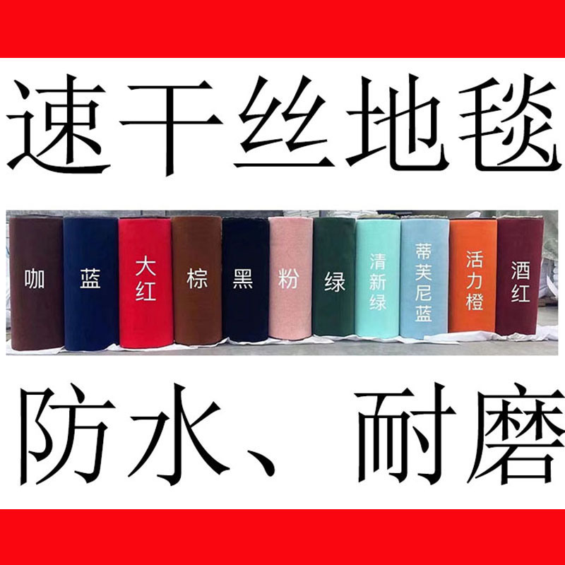 Cross-Border Quick-Drying Silk Carpet Car Floor Mats, Universal, Easy to Clean, Can Be Cut to Size, Waterproof, Wear-Resistant, Soft Surface, Non-Slip