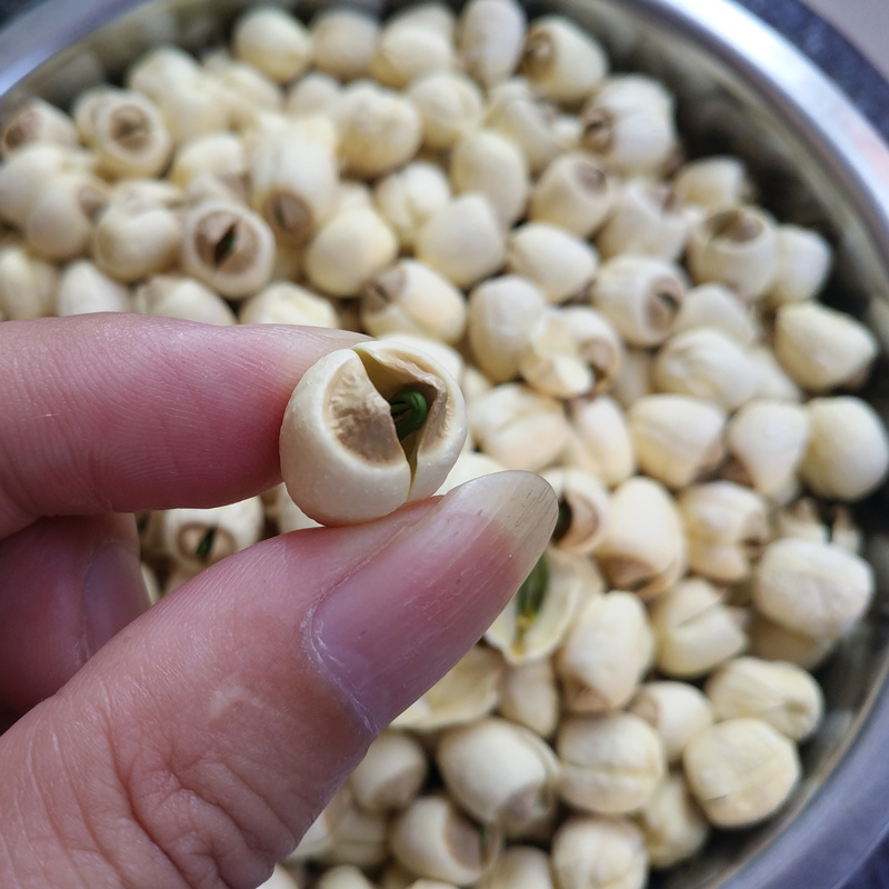 Guangchang Cored Lotus Seeds Farm-Produced Handmade White Lotus Seeds Cored Lotus Seeds Dry Goods Cored Lotus Rice 500g Sulfur-Free