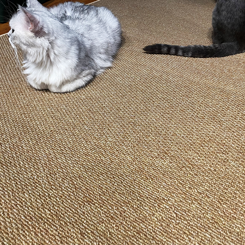 Imitation Sisal Carpet Pet Cat Scratching Mat Japanese Style Living Room Coffee Table Carpet Sofa Blanket Modern Simple Non-Slip Bedside Blanket