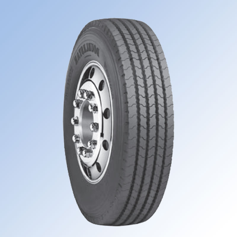 Double Star (DOUBLE STAR) Tire 295/75R22.5 Bus Card Bus All Wheel DSR116 Pattern