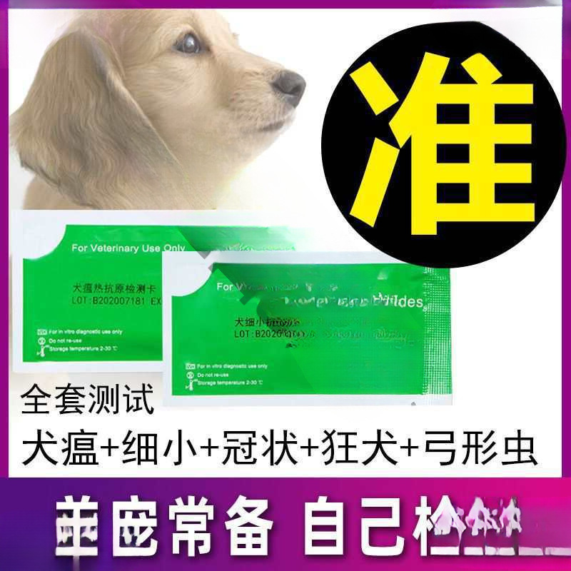 Маленькие тест-полоски для собачьего парвовируса, коронавируса, токсоплазмоза и бешенства