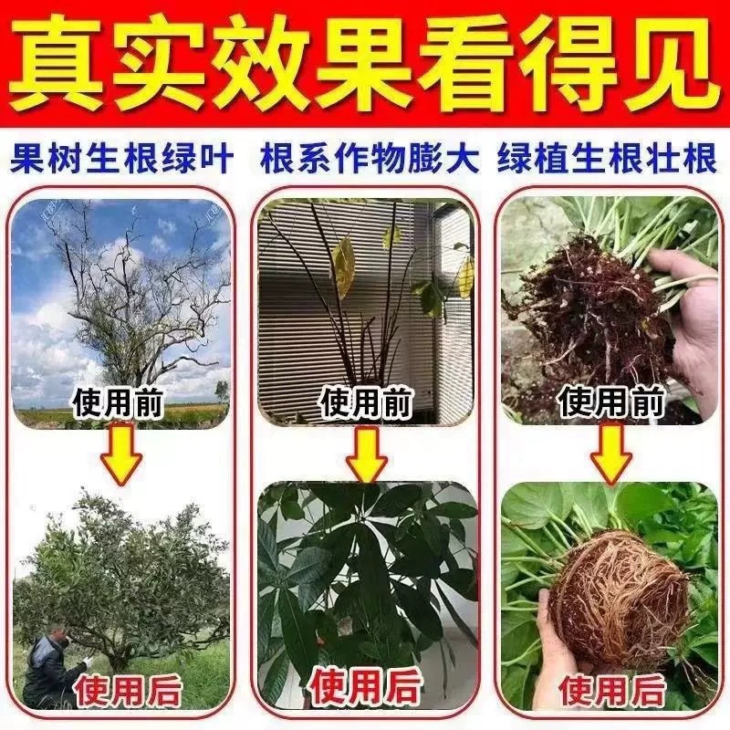 Fast Rooting Powder Manufacturer Fertilizer Vegetable and Fruit Rooting Agent Transplanting Cuttings Plant Gardening General Nutrient Solution Tree