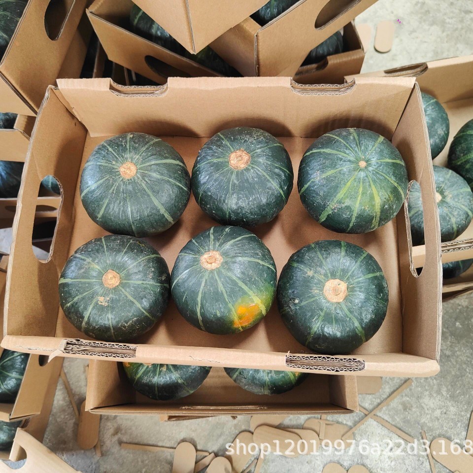 Beibei Pumpkin Fresh Chestnut Flavor Old Pumpkin Authentic Sweet Pink Glutinous Baby Pumpkin 2.5kg Free Shipping Fruits and Vegetables