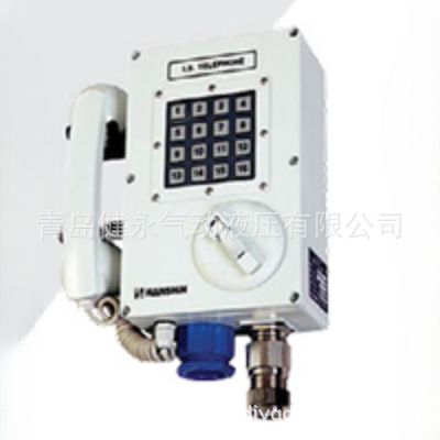 South Korea Hanshin Marine Battery Phone/I.S Cbt-16 Battery Phone Hcw/Hcf/Hcp Series