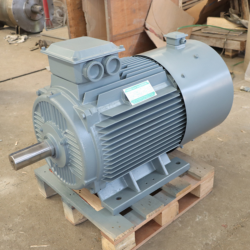 300 Rpm Low Speed Permanent Magnet Synchronous Generator 10Kw20Kw30Kw50Kw100Kw Wind and Hydro Generator