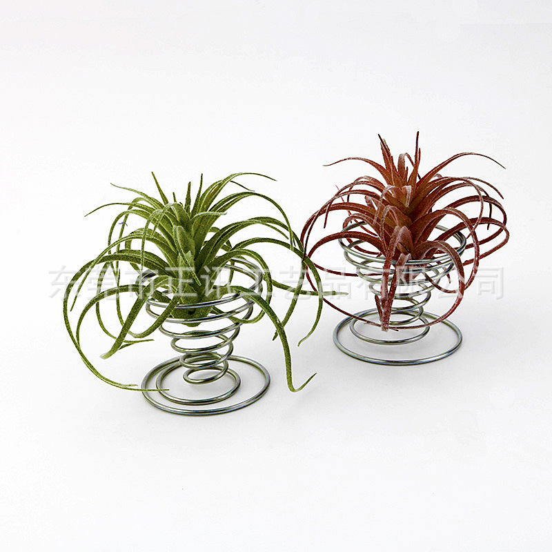 Air Pineapple Plant Cement Flower Pot Creative Stand Flower Stand Accessories Base Desktop Small Flower Pot Beauty Egg Style