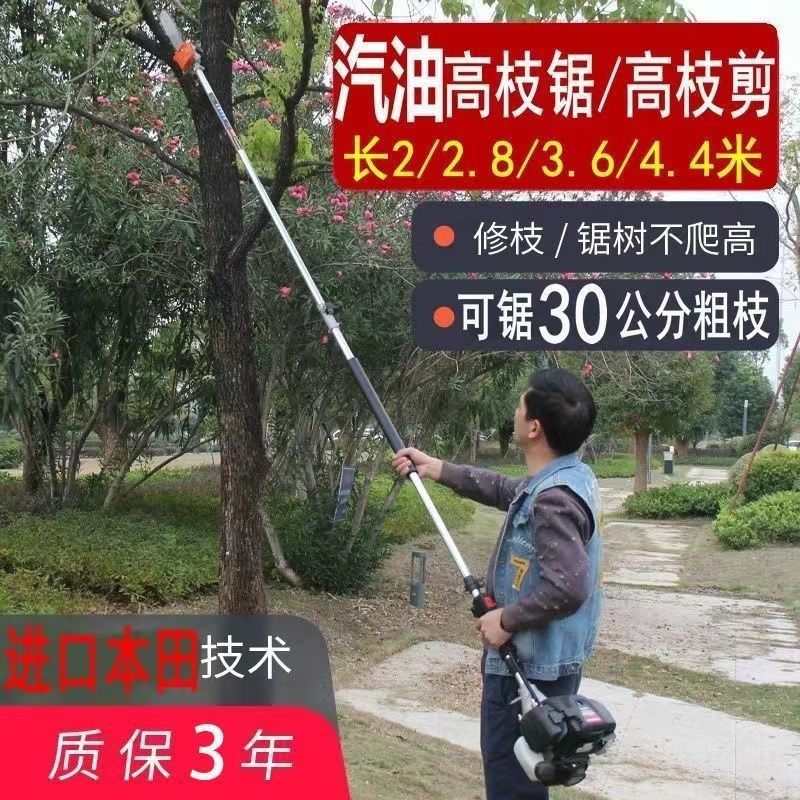 High Branch Saw Gasoline Imported Multi-Functional Landscaping Pruning Saw Extension Pole High Branch Chain Saw High-Altitude Tree Saw