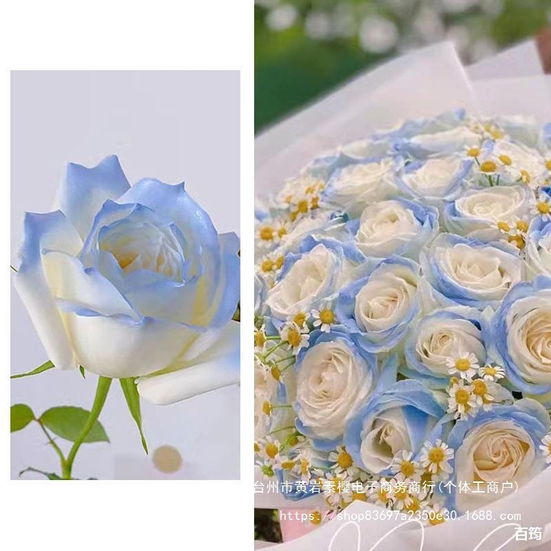 Flower Color Spray Rose Flower Crushed Ice Blue Pearlescent Color Spray Dried Flower Dyeing Spray Floral Color Spray Flower Arrangement