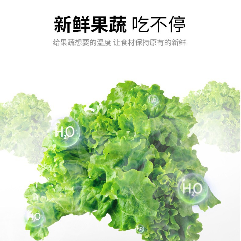 Chigo Refrigerator for Rental Apartments, Three-Door Refrigerator with Soft-Freeze Function, Various Specifications, Three-Door Energy-Saving Household Refrigerator